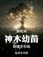 ����������ľ���絽��������