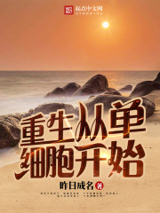 �����ӵ�ϸ����ʼ