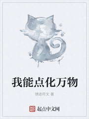 ���ܵ㻯����