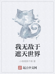 ���޵����������