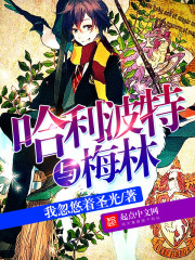 ����������÷��