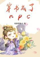 �������npc