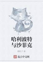 ����������ɳ�ƿ�