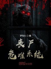 ɥ��Σ��ϵͳ