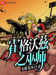 ��������֮��ʦ