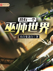 ����һ����ʦ����