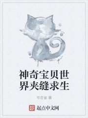 ���汦������з�����