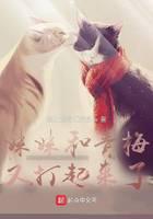 ���ú���÷�ִ�������