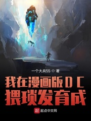 ����������DC�������