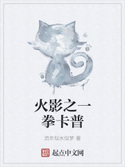 ��Ӱ֮һȭ����