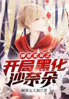 ���汦��֮���ֺڻ�ɳ�ζ�