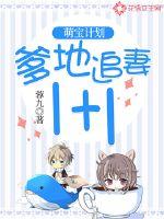 �ȱ��ƻ�������׷��1+1