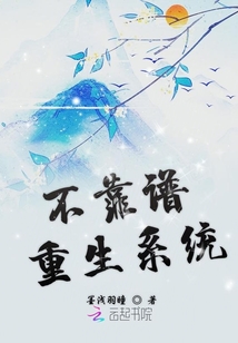 ����������ϵͳ