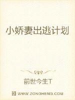 С���޳��Ӽƻ�