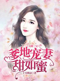 �콵���������س��������۽���½ҹ��