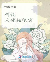 ��˵����������