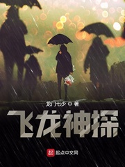 ������̽